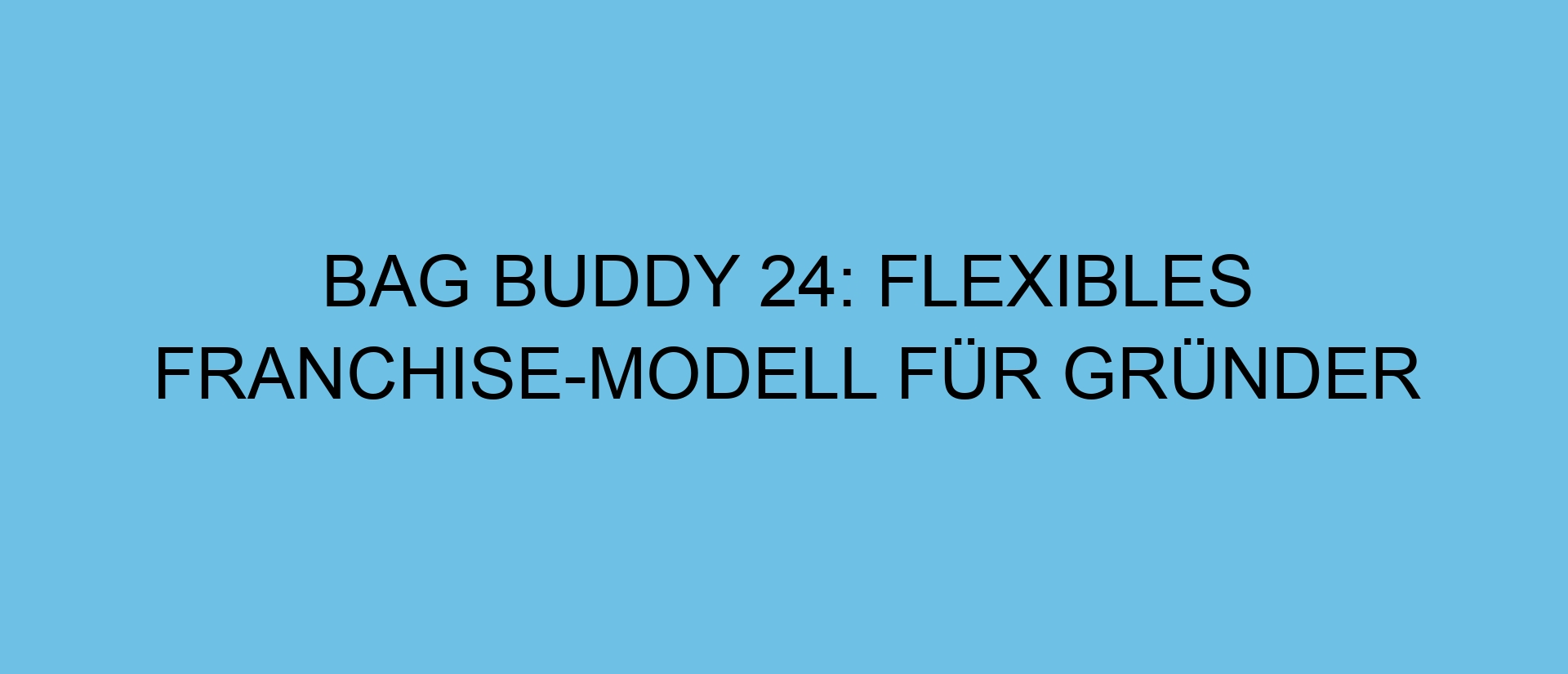 BAG BUDDY 24: Flexibles Franchise-Modell für Gründer