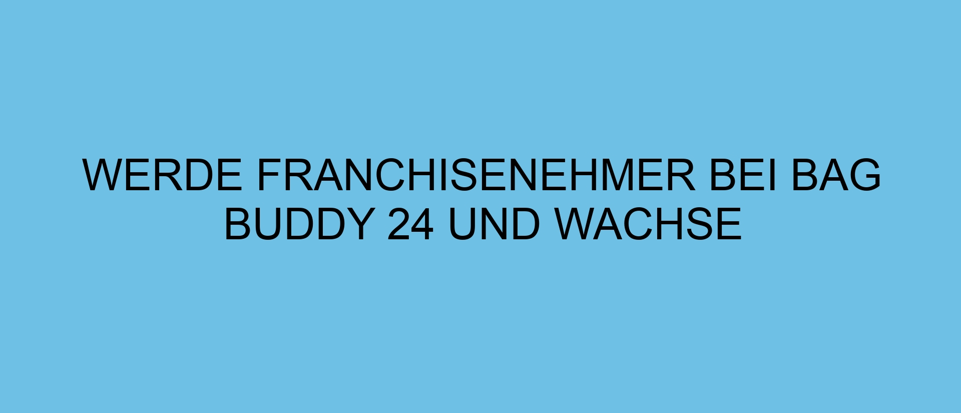 Werde Franchisenehmer bei BAG BUDDY 24 und wachse