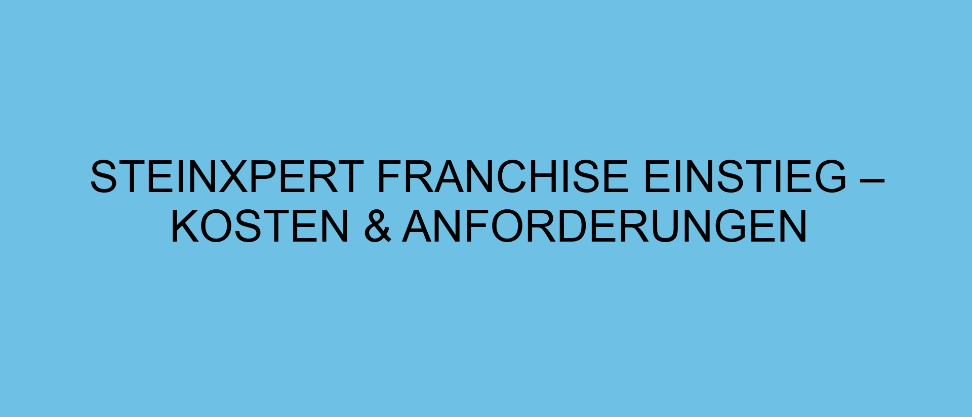 SteinXpert Franchise Einstieg – Kosten & Anforderungen